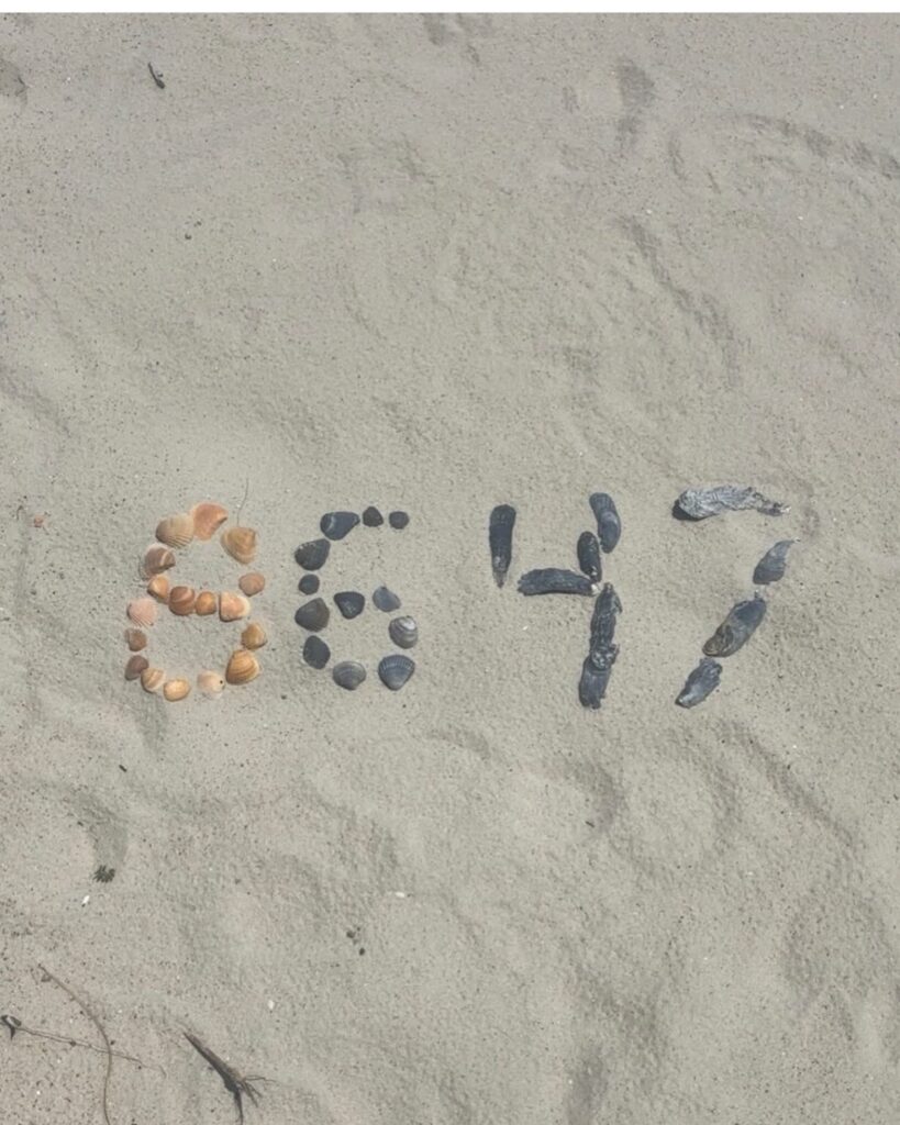 The picture of the seashells shared on X by Comet