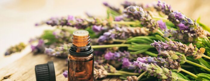Essential Oil | PMN Patralok