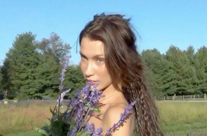 Lavender Girl Summer: The Dreamy Aesthetic Taking Over 2025