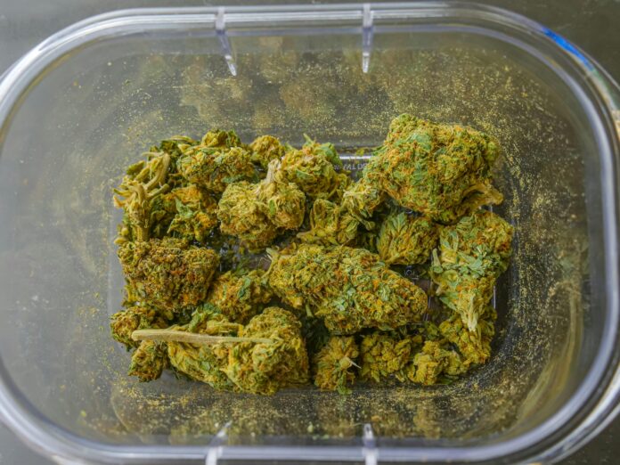 Cannabis smuggled caught by Mumbai Police