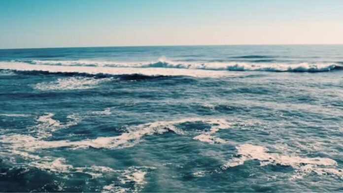 World Oceans Day: The Blue Heart Beneath the Waves| PMN Patralok