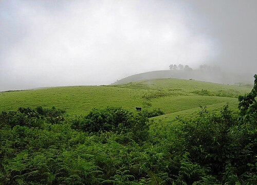 The Magnificence of Southern India: Kerala| PMN Patralok