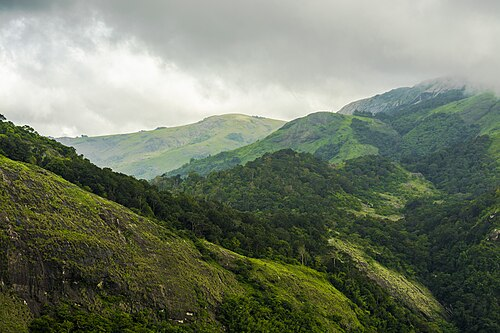 The Magnificence of Southern India: Kerala| PMN Patralok