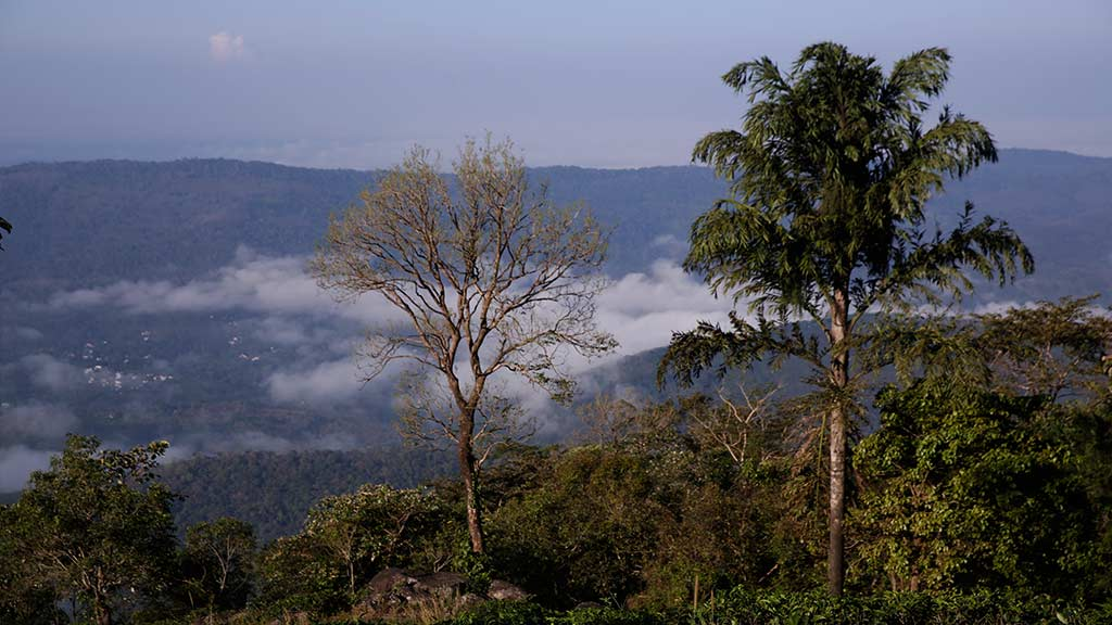 The Magnificence of Southern India: Kerala| PMN Patralok