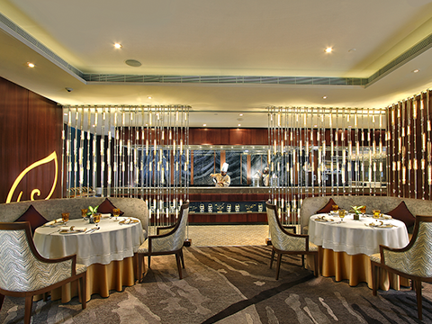 The Best 5 Must-Visit Restaurants in India| PMN Patralok