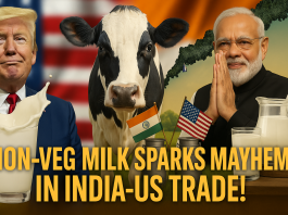 Non-Veg Milk Sparks Mayhem In India-US Trade!