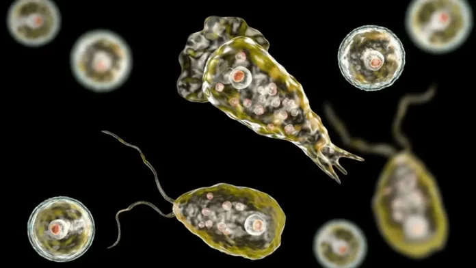 PAM- brain eating amoeba- kerala