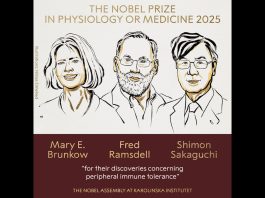 2025 Nobel Prize winners in physiology or medicine