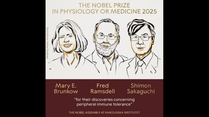 2025 Nobel Prize winners in physiology or medicine